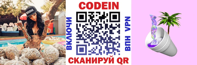 Купить закладки  Мензелинск  Кодеиновый сироп Lean напиток Lean (лин) 