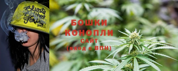 МДПВ Горно-Алтайск