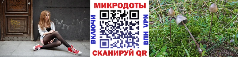 Галлюциногенные грибы Psilocybine cubensis Купить Мензелинск